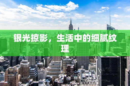 银光掠影，生活中的细腻纹理