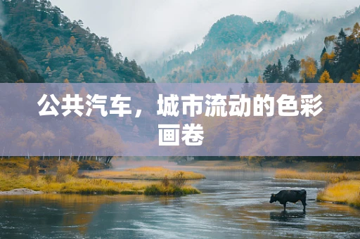 公共汽车，城市流动的色彩画卷