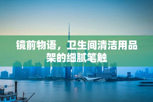镜前物语，卫生间清洁用品架的细腻笔触