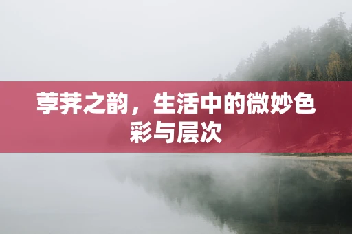 荸荠之韵，生活中的微妙色彩与层次