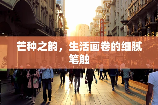 芒种之韵，生活画卷的细腻笔触