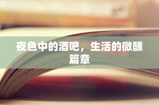 夜色中的酒吧，生活的微醺篇章