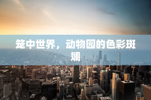 笼中世界，动物园的色彩斑斓