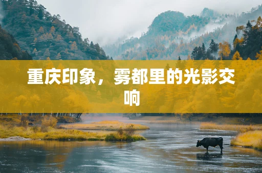 重庆印象，雾都里的光影交响