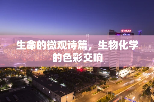 生命的微观诗篇，生物化学的色彩交响