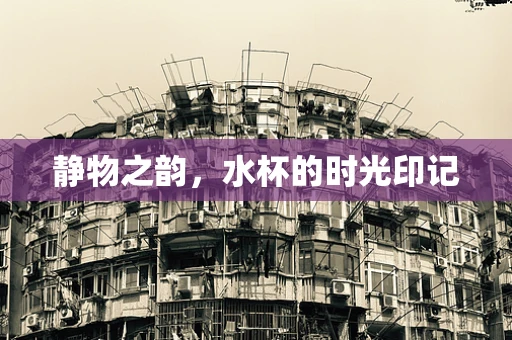 静物之韵，水杯的时光印记