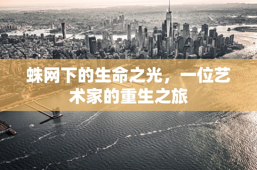 蛛网下的生命之光，一位艺术家的重生之旅