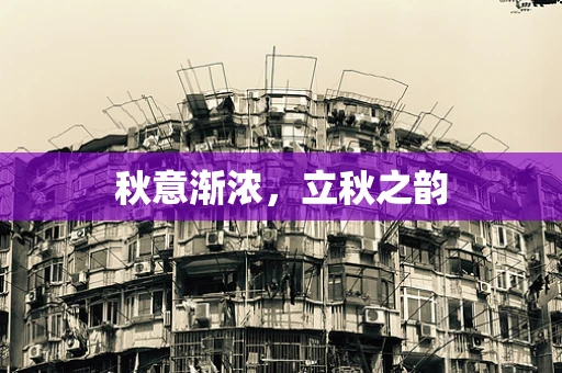 秋意渐浓，立秋之韵
