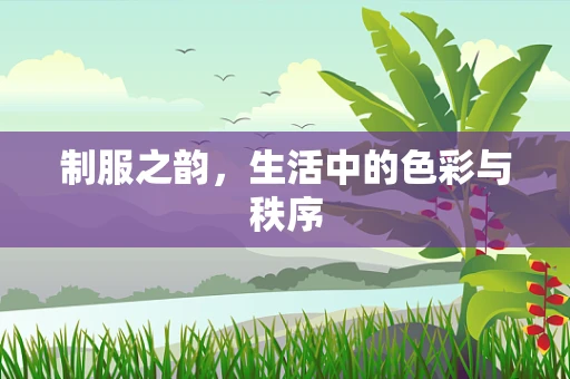 制服之韵，生活中的色彩与秩序