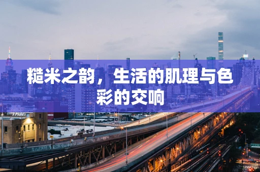 糙米之韵，生活的肌理与色彩的交响