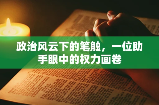 政治风云下的笔触，一位助手眼中的权力画卷