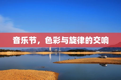 音乐节，色彩与旋律的交响