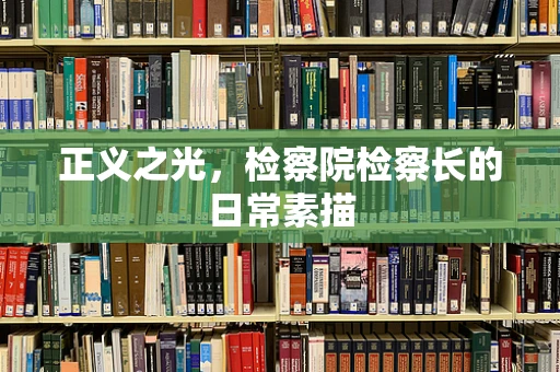 正义之光，检察院检察长的日常素描