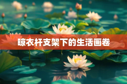 晾衣杆支架下的生活画卷
