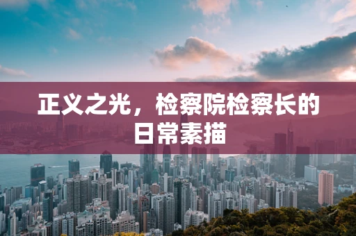 正义之光，检察院检察长的日常素描