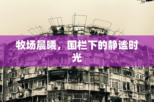 牧场晨曦，围栏下的静谧时光