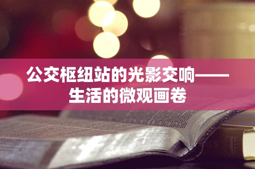 公交枢纽站的光影交响——生活的微观画卷