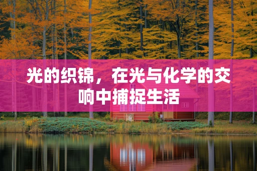 光的织锦，在光与化学的交响中捕捉生活