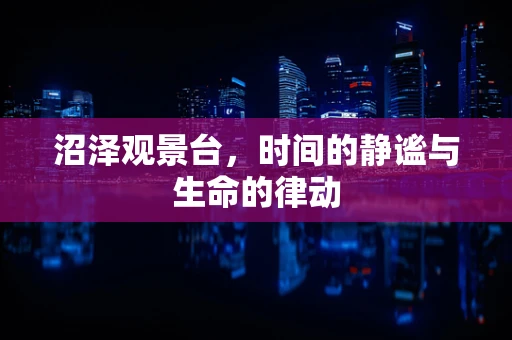 沼泽观景台，时间的静谧与生命的律动