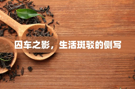 囚车之影，生活斑驳的侧写