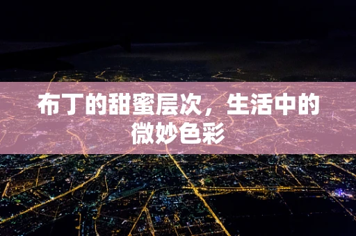 布丁的甜蜜层次，生活中的微妙色彩