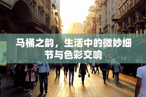 马桶之韵，生活中的微妙细节与色彩交响
