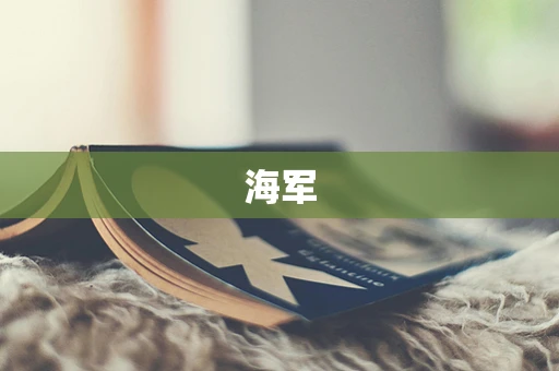 海军