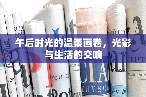午后时光的温柔画卷，光影与生活的交响