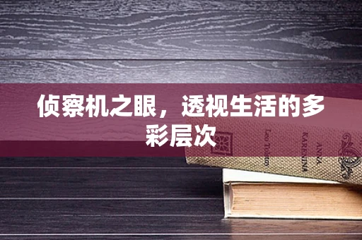 侦察机之眼，透视生活的多彩层次
