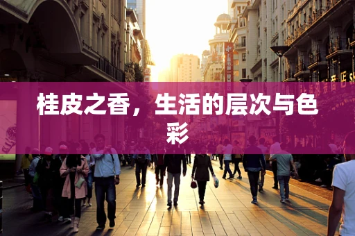 桂皮之香，生活的层次与色彩