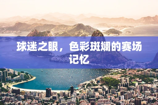 球迷之眼，色彩斑斓的赛场记忆
