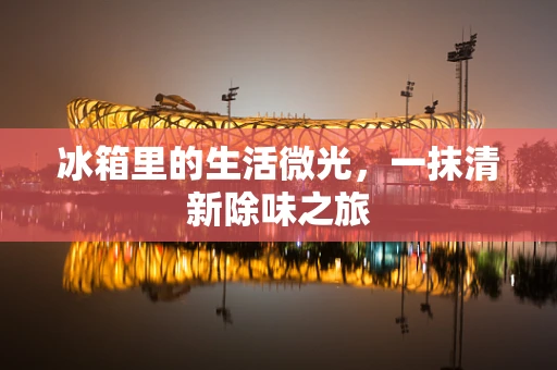 冰箱里的生活微光，一抹清新除味之旅