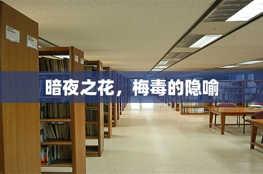 暗夜之花，梅毒的隐喻