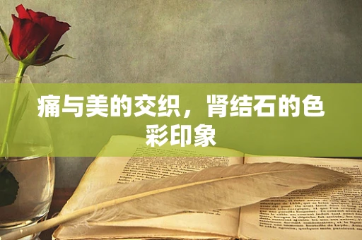 痛与美的交织，肾结石的色彩印象