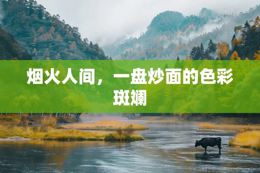 烟火人间，一盘炒面的色彩斑斓