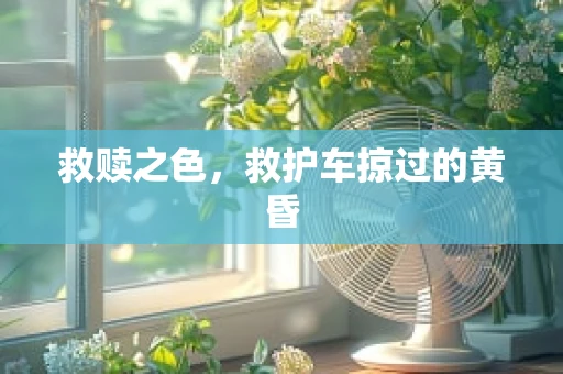 救赎之色，救护车掠过的黄昏