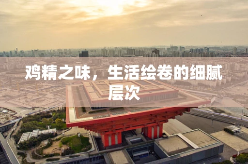 鸡精之味，生活绘卷的细腻层次