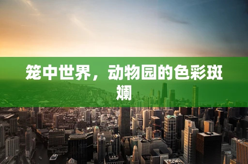 笼中世界，动物园的色彩斑斓