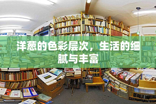洋葱的色彩层次，生活的细腻与丰富