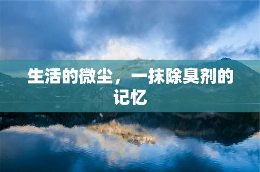 生活的微尘，一抹除臭剂的记忆