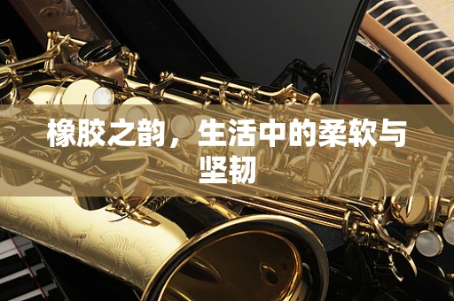 橡胶之韵，生活中的柔软与坚韧