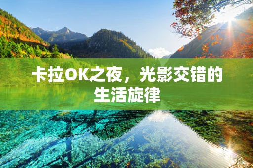 卡拉OK之夜，光影交错的生活旋律
