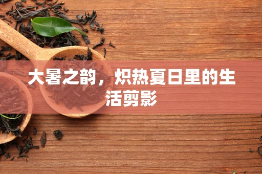 大暑之韵，炽热夏日里的生活剪影