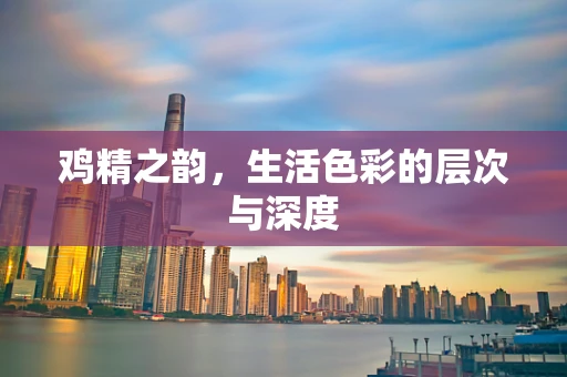 鸡精之韵，生活色彩的层次与深度