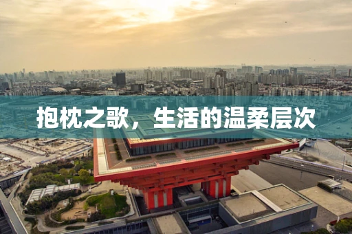 抱枕之歌，生活的温柔层次