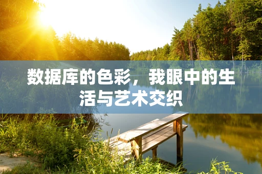 数据库的色彩，我眼中的生活与艺术交织