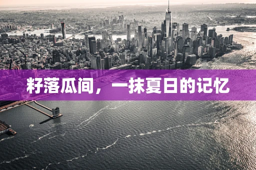 籽落瓜间，一抹夏日的记忆