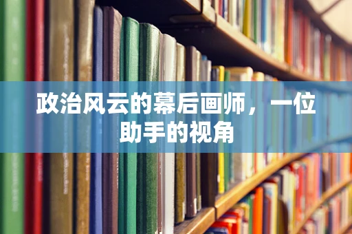政治风云的幕后画师，一位助手的视角