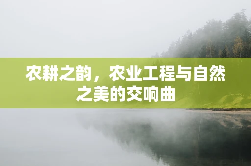农耕之韵，农业工程与自然之美的交响曲