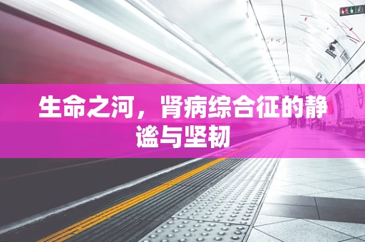 生命之河，肾病综合征的静谧与坚韧